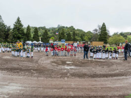 Cloverdale Little League cancels 2021 season
