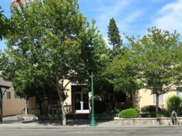 Applications open for two city commissions