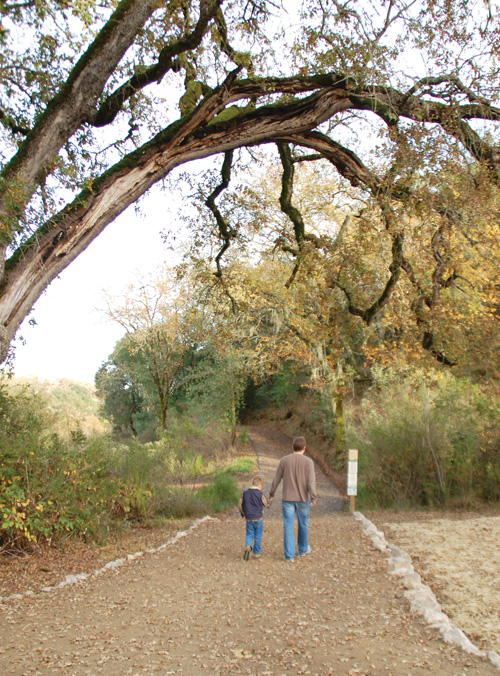 Ag + Open Space awards $5.8 million for community open space projects