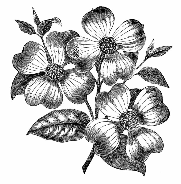 Virginia Josephine Good