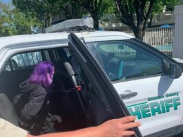 Purse theft in Windsor leads to arrest