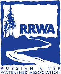 Commentary: Keep our cars and our river clean