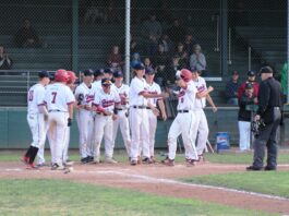 Diamond Dogs in midst of historic baseball campaign