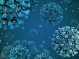 Free COVID vaccine clinic in Windsor on May 30