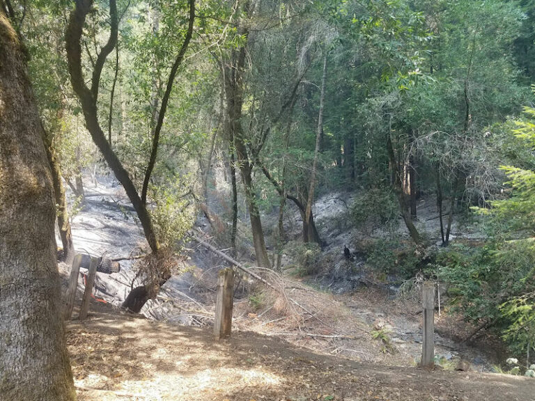 Armstrong Woods opening postponed