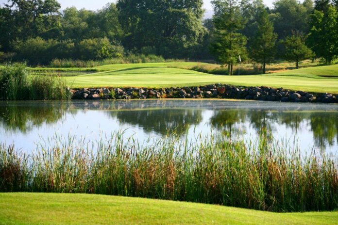 Windsor golf