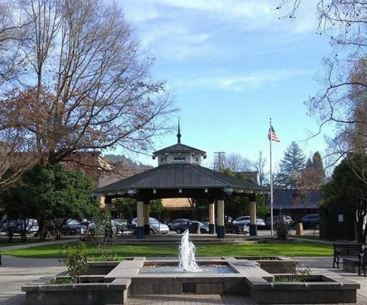 Parks and rec commission votes against wine and food event in the Plaza