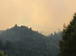 Burn permits suspended