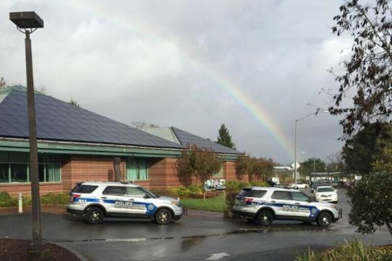 Sebastopol Police Department audit released to the public