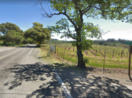 Solo vehicle crash on Highway 128 kills driver