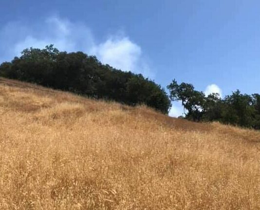 Board of supervisors approves over $3.7 million in grant funding for fire fuel reduction