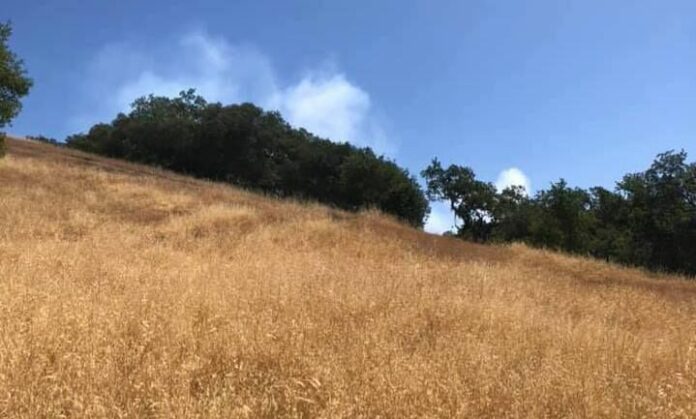 dry fire fuel
