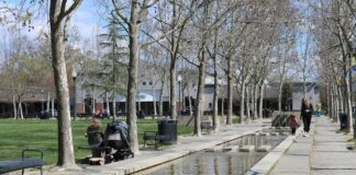 Applications sought for seats on Windsor commissions
