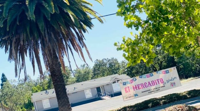 El Mercadito de Windsor Sunday market debuts this weekend