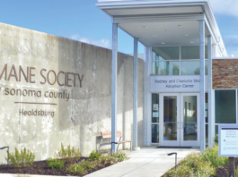 Healdsburg animal activity log: July 12-18, 2021