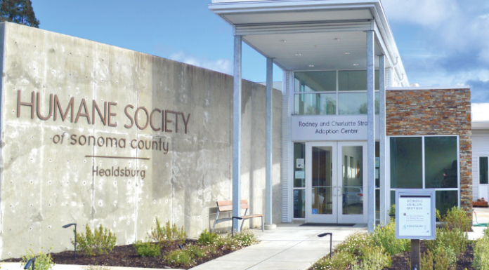 Healdsburg animal activity log: July 12-18, 2021