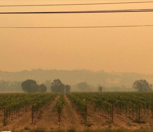 Work is starting on Cloverdale’s wildfire plan