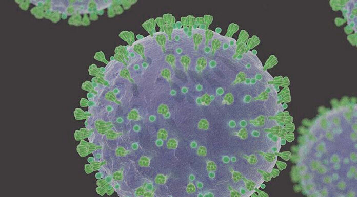 The Lambda COVID variant is in California: 5 things to know