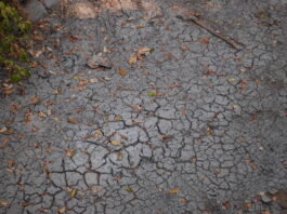 Healdsburg petitioning water board to continue diverting from the lower river