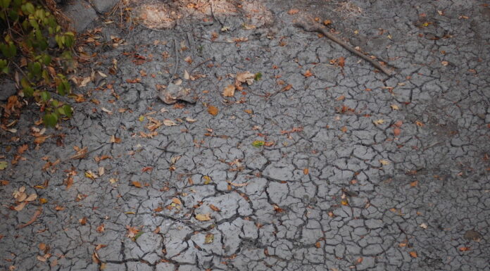 Healdsburg petitioning water board to continue diverting from the lower river