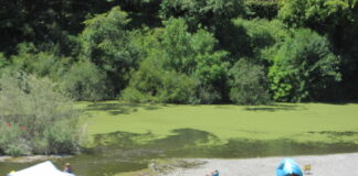 Commentary: Our disappearing river…