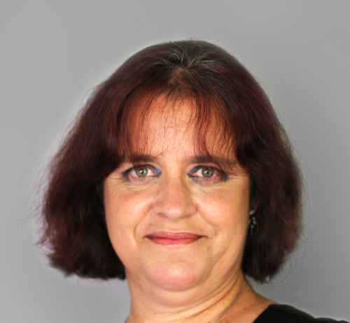 Bailey named head of communications for WUSD