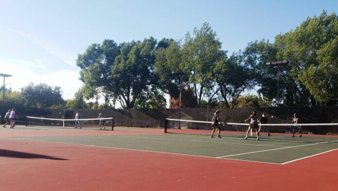 Brook haven pickleball