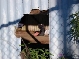 ‘Healdsburg has been hungry for a solution’: City set to explore homeless shelter options