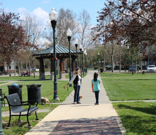 Town seeking input on projects at Sunday farmers market