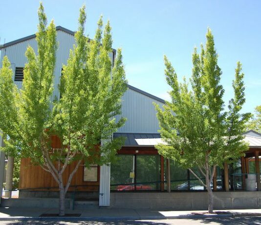 Healdsburg council to consider return to in-person meetings, community grants program