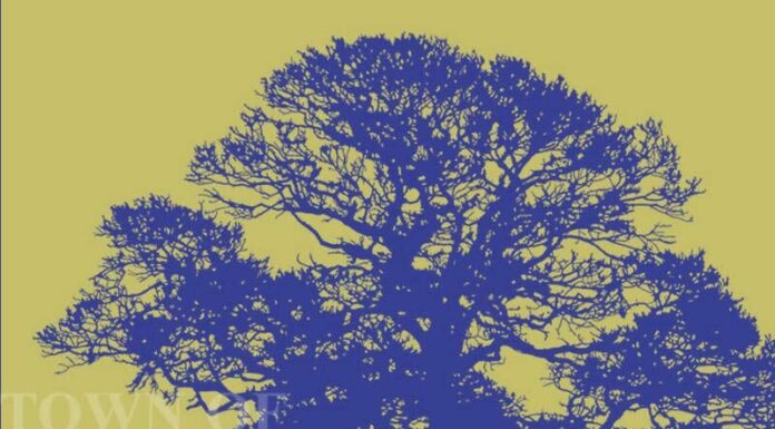 Windsor seeks public input on post-Foppoli ethics code, deadline Nov. 26