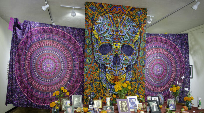 A gallery with vision: Galeria Monarca in Sebastopol seeks inclusion