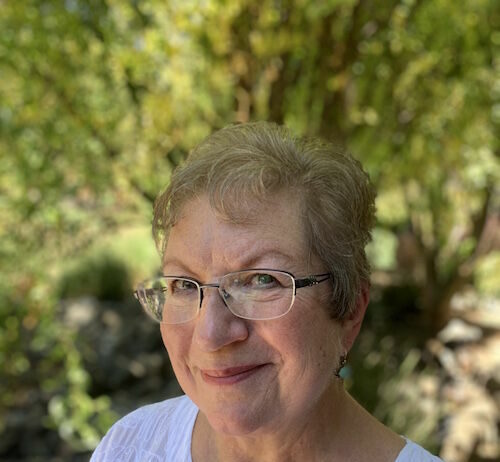 IDlewood 3: Healdsburg rings in the holidays