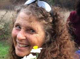 Market Report: Thank you for a perfect year