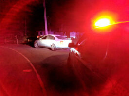 Sebastopol Police Logs, Jan. 17-23