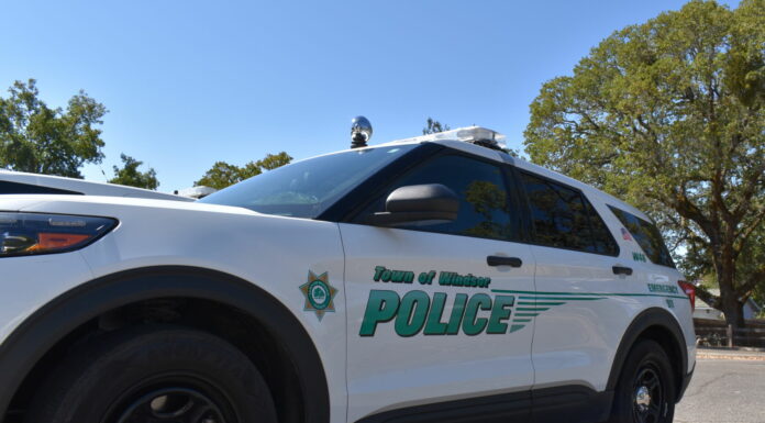 Granddaughter arrested, grandfather cited after altercation with baseball bat in Windsor