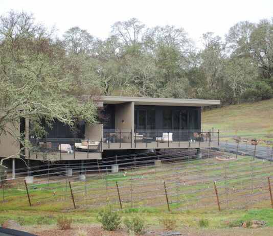 Healdsburg Year in Review: Business