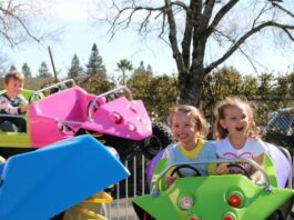 Citrus Fair postponed until April