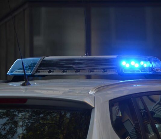 Windsor Year in Review: Crime