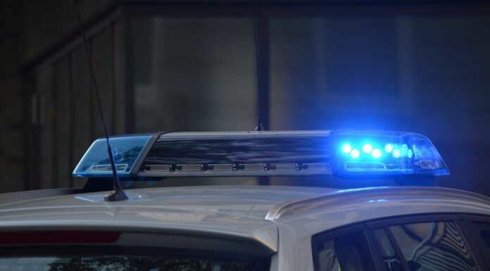 Windsor Year in Review: Crime