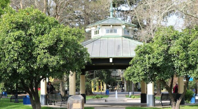 Healdsburg Community Response Grants awarded to four local nonprofits