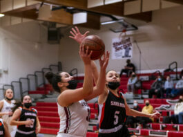 Lady Hounds post three wins, push record to 16-7