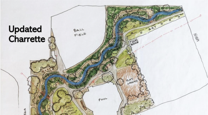 Ives Park Calder Creek Naturalization Project to keep ballfield