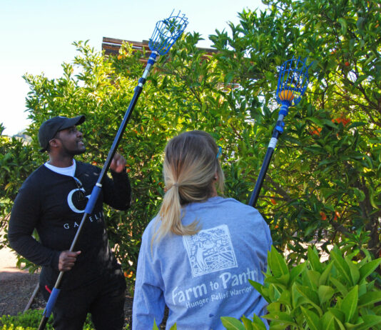 Farm to Pantry goes fashion forward with Gapelii partnership