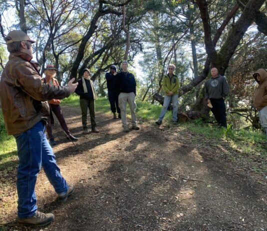 Vegetation projects are working to make Fitch Mountain safer