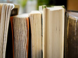 Friends of the Sebastopol Library book sale returns Sunday