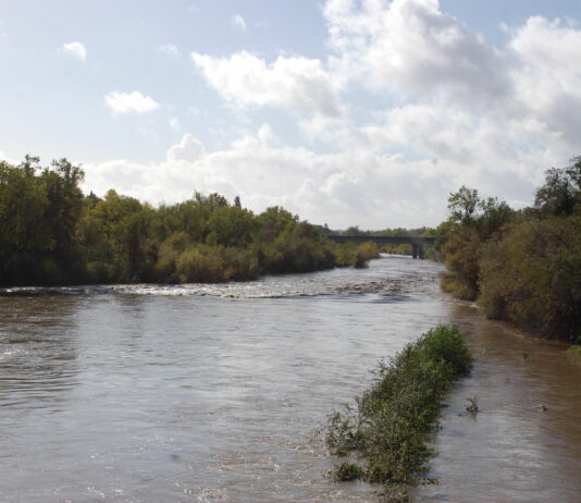 City lands $7 million state grant for recycled water pipeline project