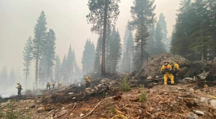 Annual fire department report: Medical calls for service on the rise from previous years