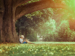 Little boy reading a book under big linden tree