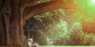 Little boy reading a book under big linden tree